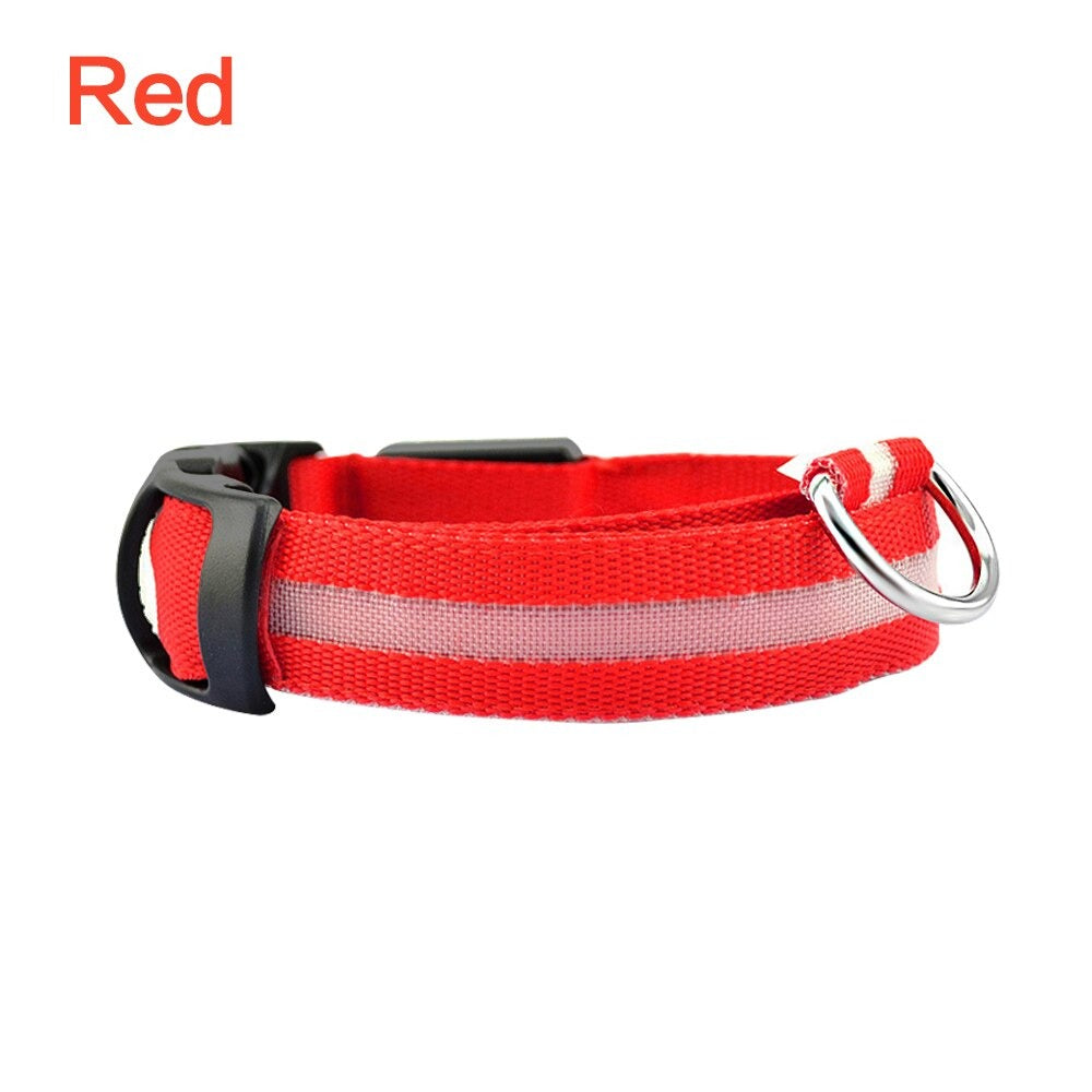 LED Dog Safety Collar – Night Glow